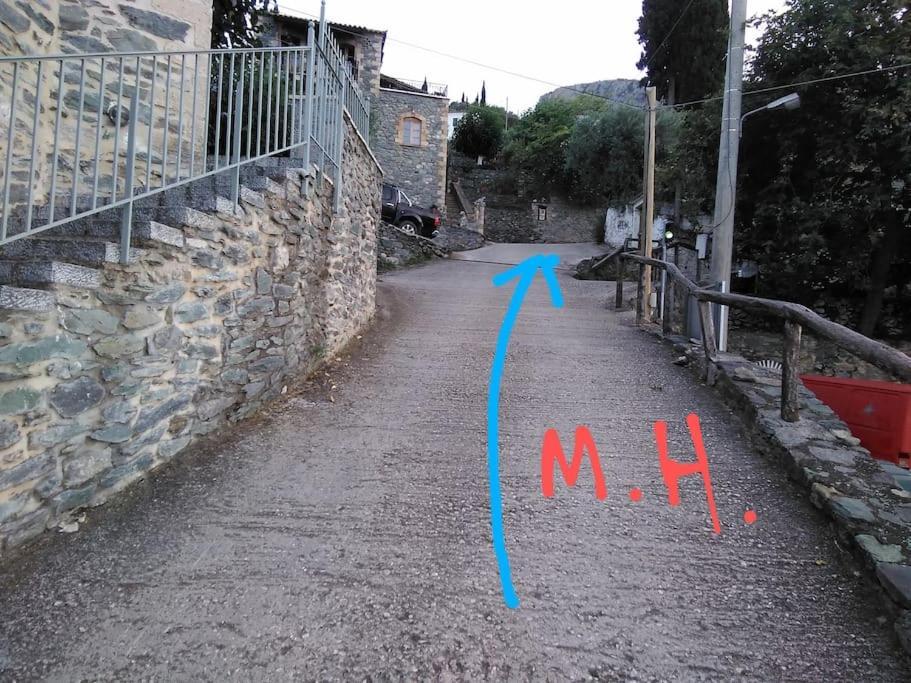 Matas House *
